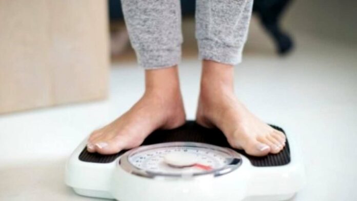 Berat Badan