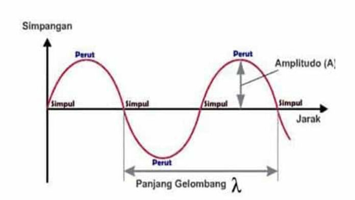 Contoh Gelombang Transversal dalam Kehidupan, Berikut Penjelasannya