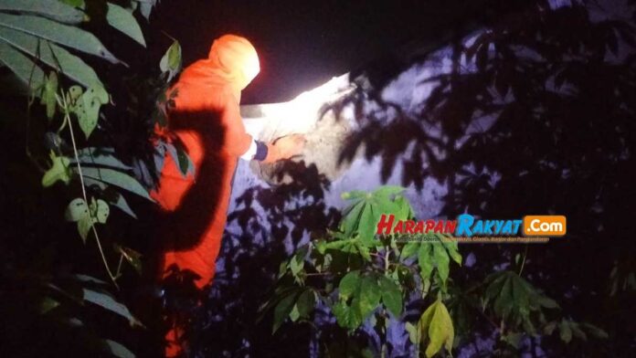Damkar Banjarsari Ciamis Musnahkan Sarang Tawon Vespa