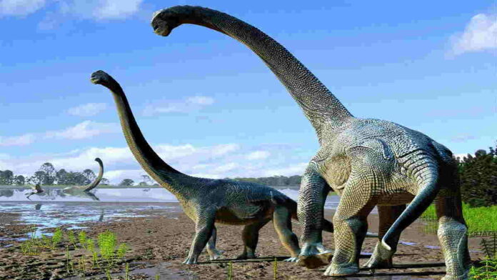 Fakta Temuan Fosil Supersaurus Yang Terungkap Dalam Konferensi 2021