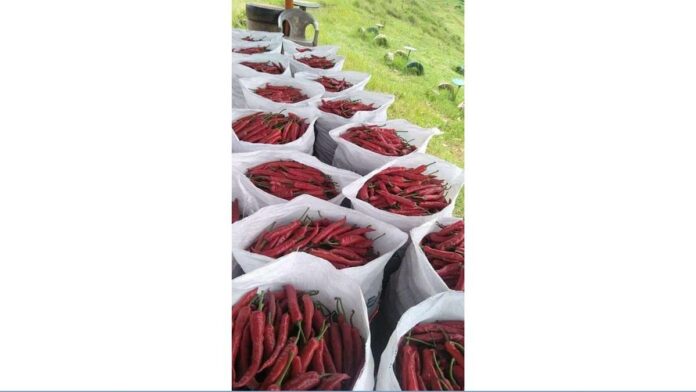 Harga Cabe-cabean naik