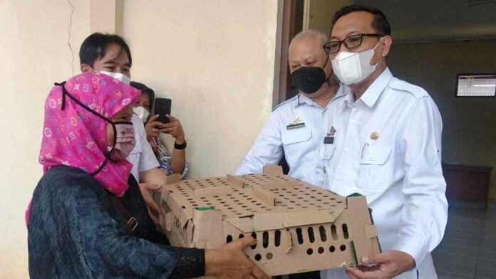 Kembangkan Ayam Sentul, Pemkab Ciamis Berikan Bantuan DOC