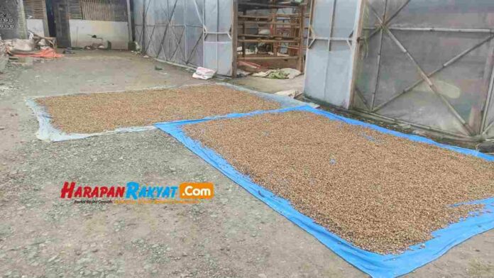petani kapol di Ciamis