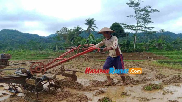 Petani Blok Paawian Pangandaran