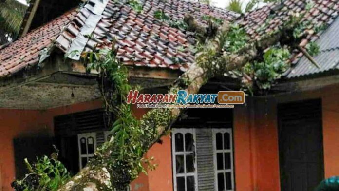 Pohon Tumbang Timpa Rumah Warga di Pangandaran