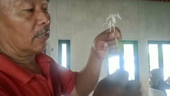 Praktisi Herbal Kota Banjar