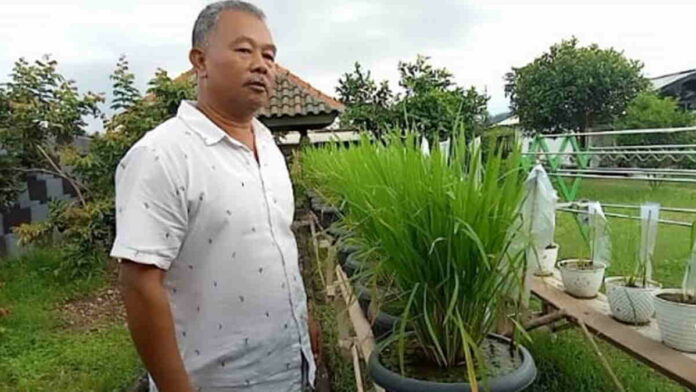 Warga Kota Banjar Ini Kembangkan Pertanian Ramah Lingkungan