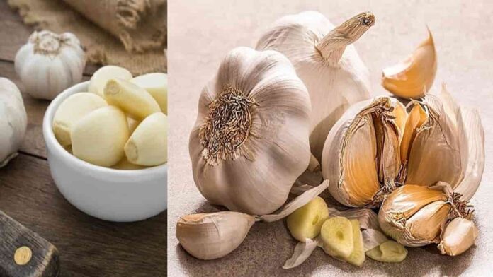 kandungan gizi bawang putih