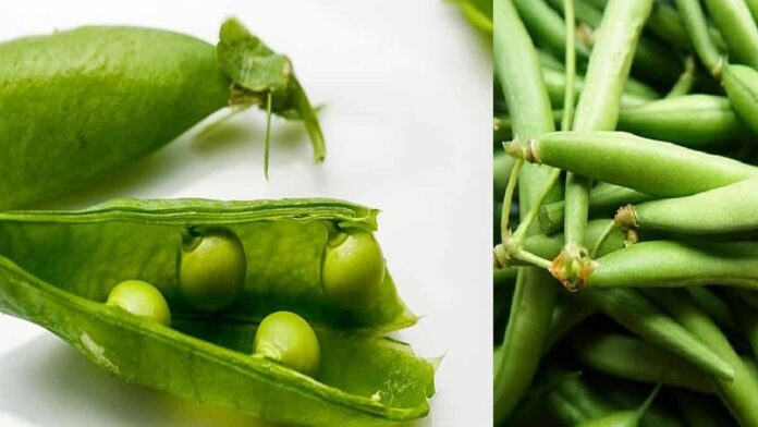manfaat sayur buncis