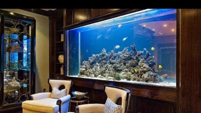 Aquarium Ruang Tamu Minimalis Membuat Kesan Lebih Modern