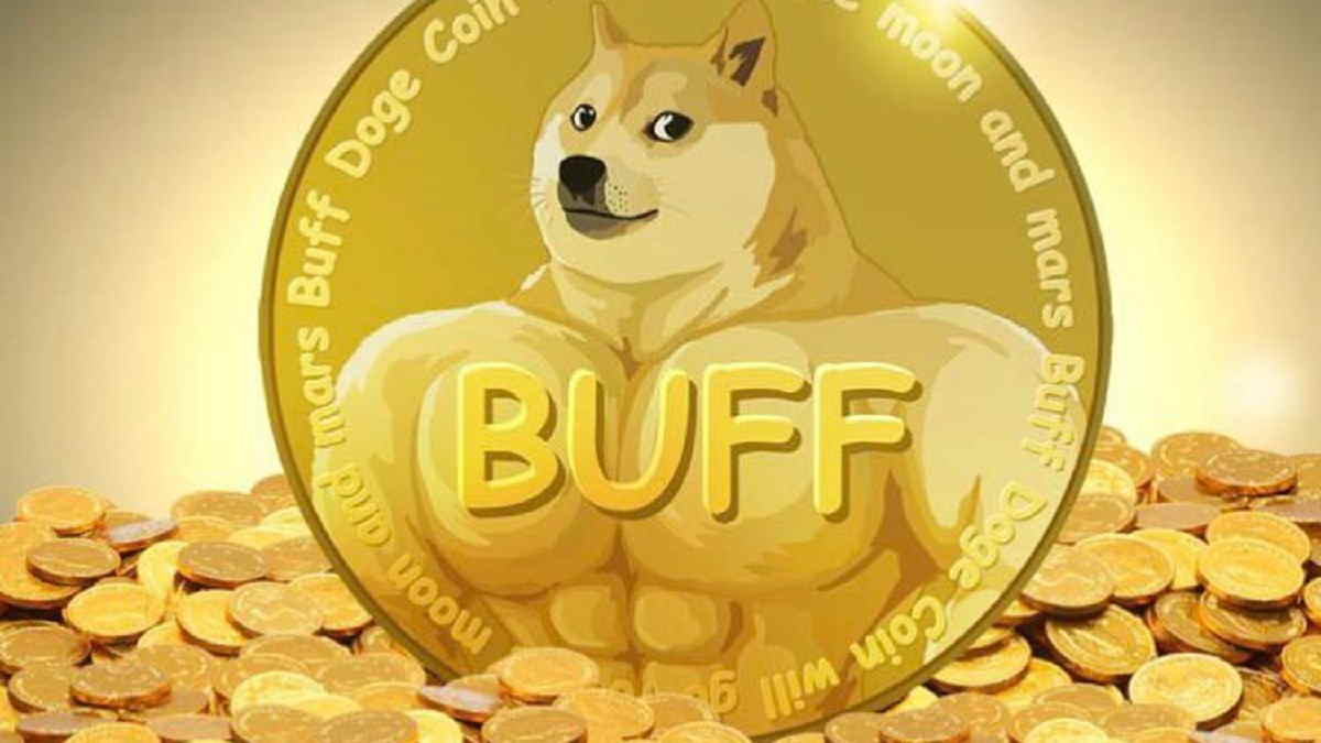 Buff Doge Coin, Analisa dan Prediksi Membaik Beberapa Tahun Kedepan