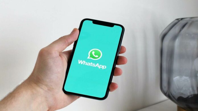 Bug WhatsApp di iPhone Trending di Twitter, Apa penyebabnya?