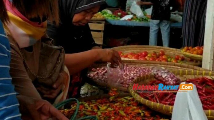 Harga Cabai Rawit