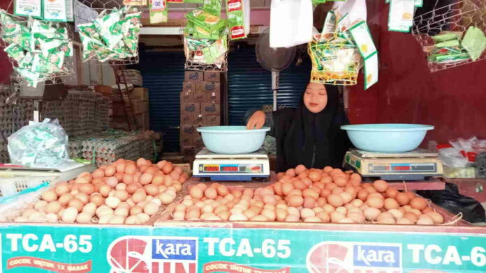 Harga Telur Ayam di Kota Banjar Tembus Rp 33 Ribu Per Kilogram