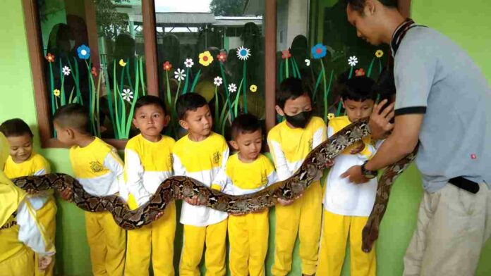 Komunitas Reptil Banjar Patroman