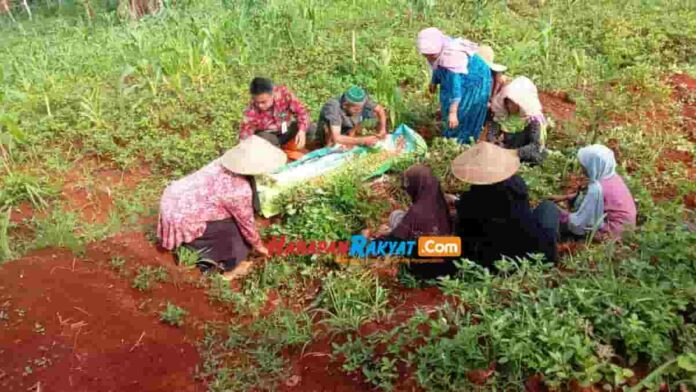 Koptan Sangkan Hurip