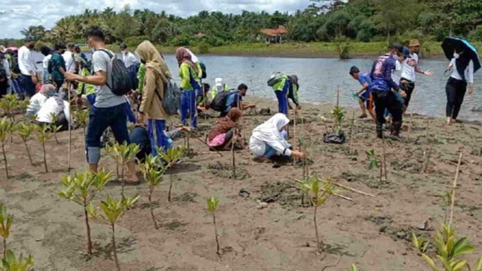 Pelajar SD SMP di Pangandaran Diajak Tanam Mangrove