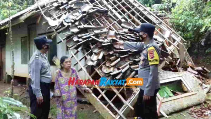 Dimakan Rayap