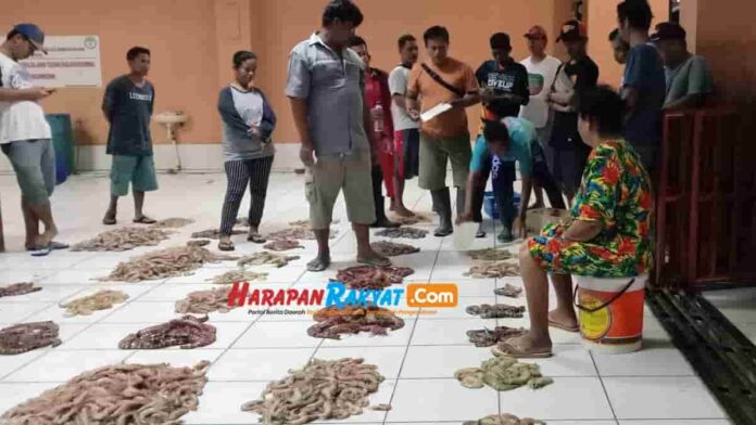Hasil Laut