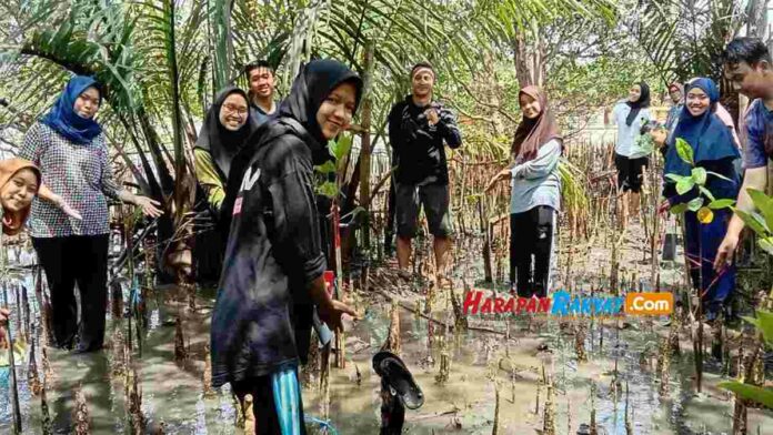 Tanam Mangrove