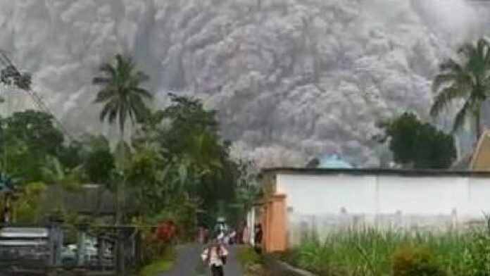 Gunung Semeru Meletus, Kepala BNPB Ke Lumajang Pastikan Penanganan Optimal