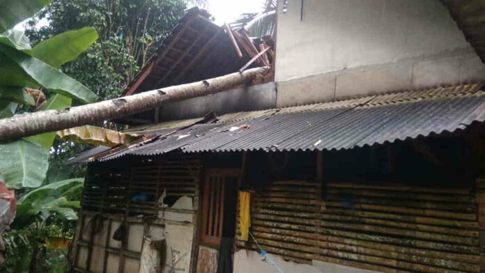 Belasan Rumah di Sidamulih Pangandaran Rusak Tertimpa Pohon