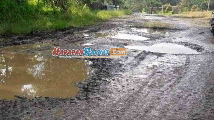 DPRD Desak Pemkab Tasikmalaya Segera Perbaiki Jalan yang Rusak