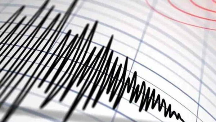 Gempa Bumi 6,7 SR di Banten Terasa Sampai Jakarta, Warga Panik