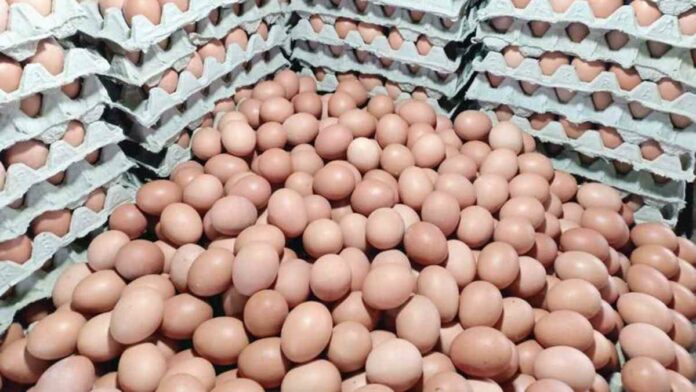 Harga Jual Telur