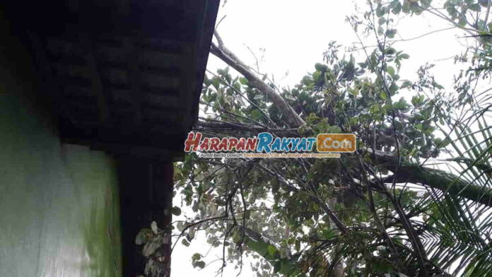 Hujan Es dan Angin Kencang di Lakbok Ciamis, 1 Rumah Tertimpa Pohon