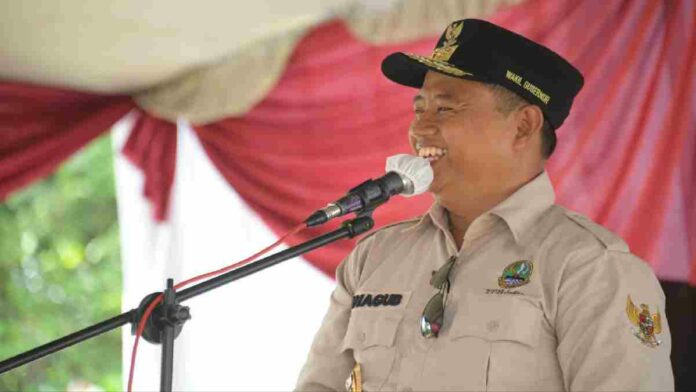 Alih fungsi lahan