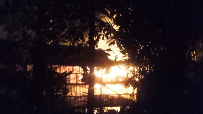 Kandang Ayam di Pangandaran Ludes Terbakar, 5.000 DOC Terpanggang
