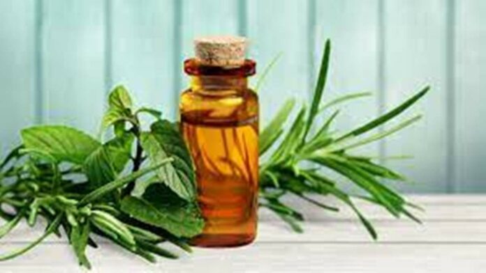 Manfaat Tea Tree Oil