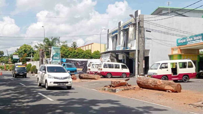 Penebangan Pohon Mahoni di Pinggir Jalan Kota Banjar Disoal