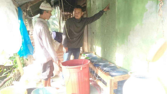 Petani Ikan di Langkaplancar Pangandaran Sukses Budidaya Ikan Bawal