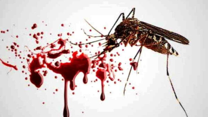 Pemkot Bandung baru terima nyamuk berbakteri Wolbachia untuk satu kelurahan di Ujungberung