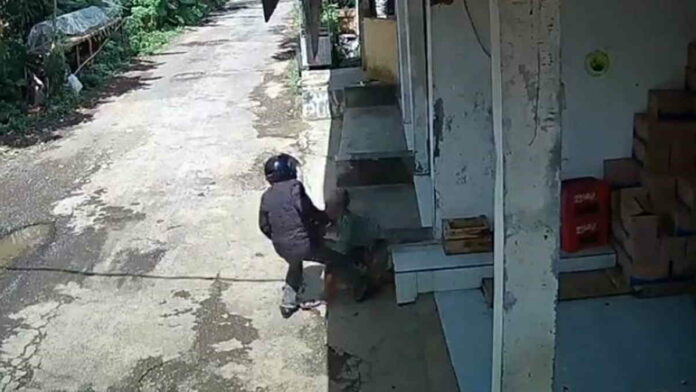 Viral Nenek Renta Jadi Korban Jambret, Tubuhnya Dibanting Pelaku
