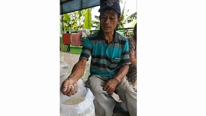 Beras BPNT Tak Layak Konsumsi