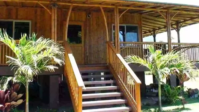 Desain Rumah Bambu Sederhana yang Unik dan Artistik di Pedesaan