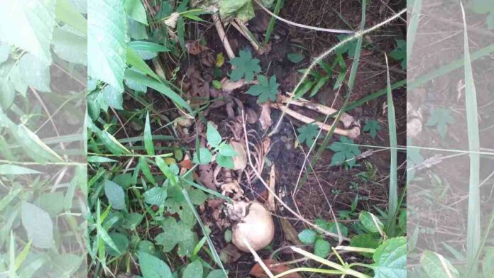 Geger Penemuan Mayat Tinggal Kerangka di Kota Banjar