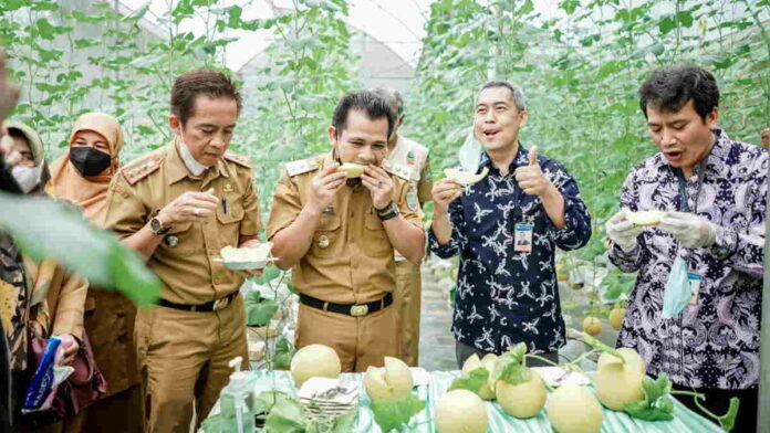 Pesantren di Ciamis Sukses Budidaya Buah Melon
