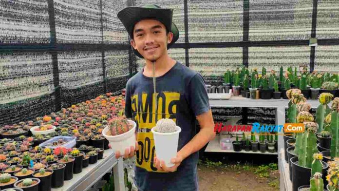 Petani Kaktus di Ciamis