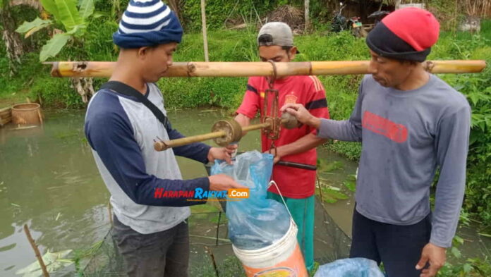 Peternak di Pangandaran