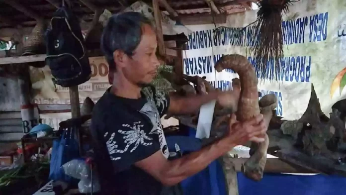 Sampah akar pohon