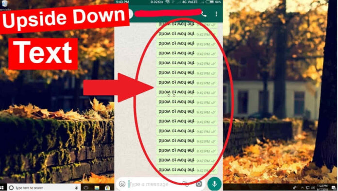 Cara Membuat Tulisan Terbalik di WhatsApp, Pakai Flip Text - Upside Down