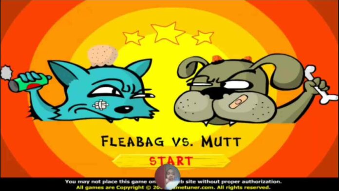 Game Anjing Vs Kucing yang Lucu dan Menyenangkan Penghapus Bosan!