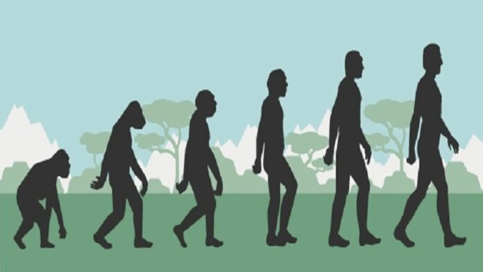 Hukum Hardy Weinberg Mekanisme Evolusi Makhluk Hidup, Ini Syaratnya!