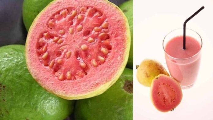 kandungan jambu biji