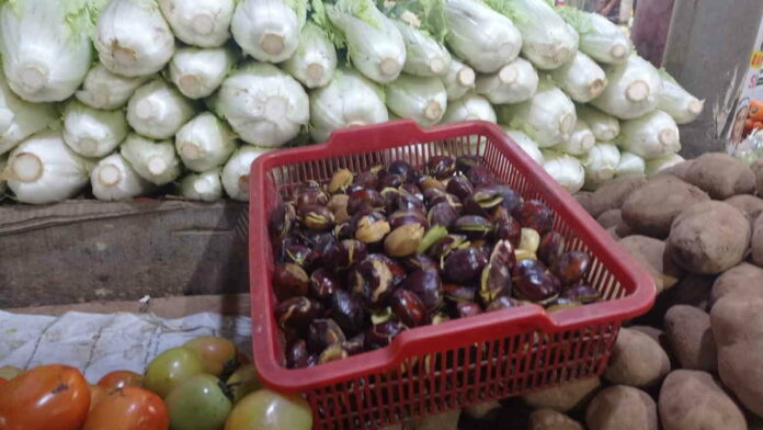 Awal Puasa, Harga Jengkol di Pasar Ciamis Meroket, Capai Rp 90 Ribu