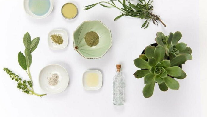 Bahan Aktif Skincare dan Fungsinya untuk Menjaga Kesehatan Kulit